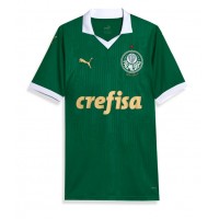 Camisa de time de futebol Palmeiras Estevao Willian #41 Replicas 1º Equipamento 2024-25 Manga Curta